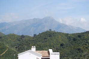 Mountain views from the Penthouse