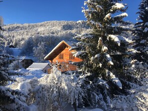 Exteriör