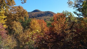 Beautiful view of the fall colors!