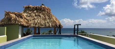 Roof top pool/palapa and patio area. amazing view