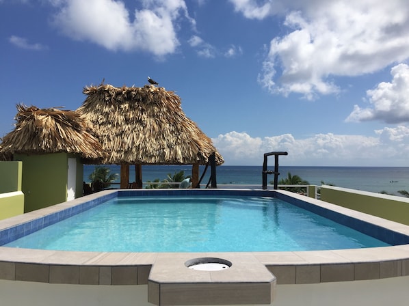 Roof top pool/palapa and patio area. amazing view