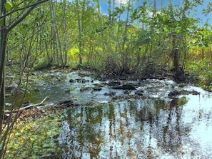 Marvel at the enchanting beauty above and relax in comfort below—only at lodging near Cherry Springs State Park