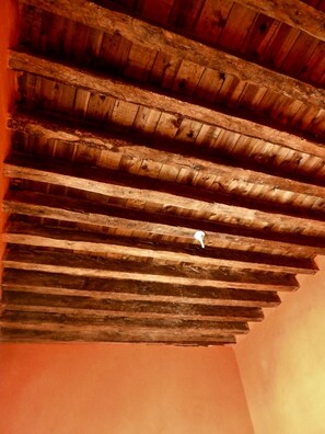 Detail of the roof