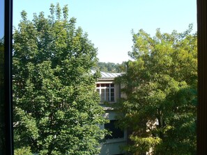 Vue arborée depuis le studio