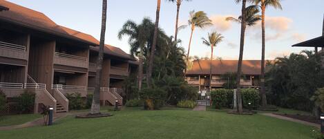 Kihei Bay Vista D-209