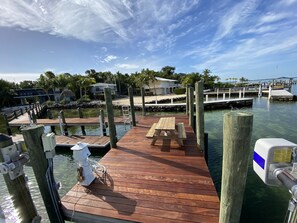 New dock with power pedestal and water