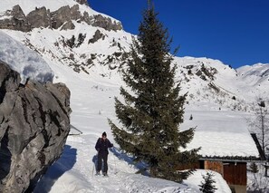 Snow and ski sports