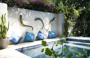 Plunge Pool to keep you cool on those hot summer days