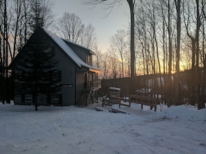 Timberline at twilight (winter)
