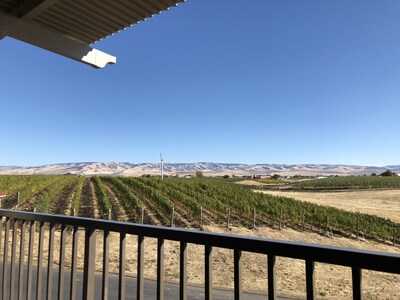 View from a Neighboring Local Winery!