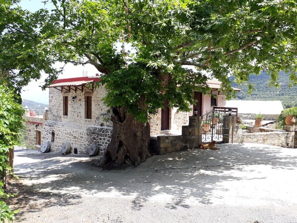 Exterior