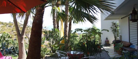 Terraço/pátio interior