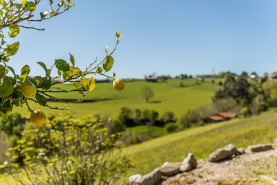 Apartamento rural situado en entorno natural y cercano a la playa