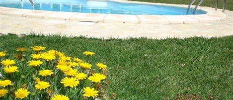 Swimming pool and garden