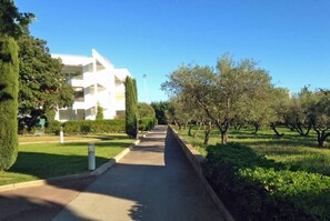 The estate and the olive grove on the right