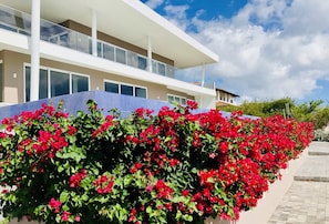 Tropical Gardens full of refreshing flowers and palm trees