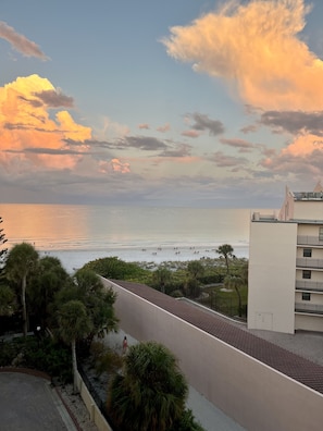 From the Lanai