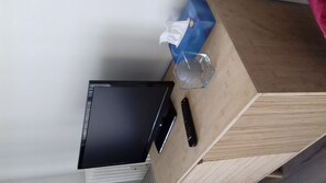 Television