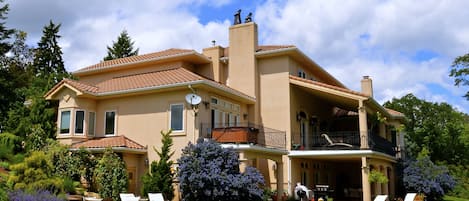 Poolside view of back of house