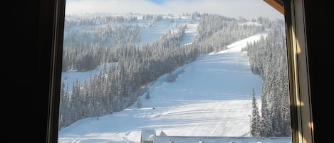 Winter view of the Okanagan Run.