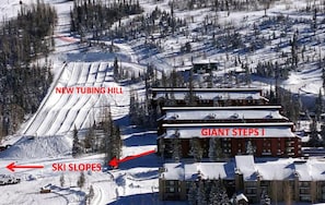 Lumi- ja hiihtourheilulajit