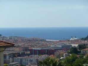 Vista desde la propiedad