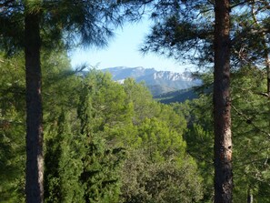 vue de la terrasse