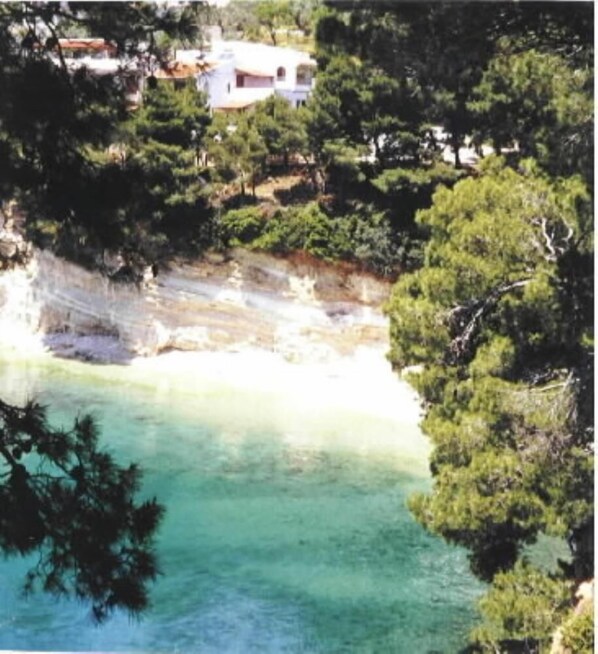 Overview