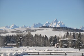 View from house in winter