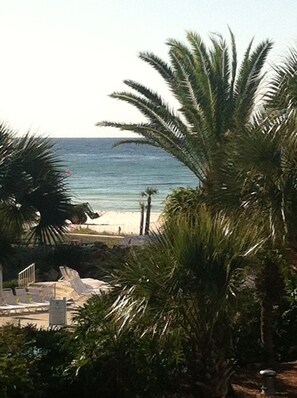 Playa
