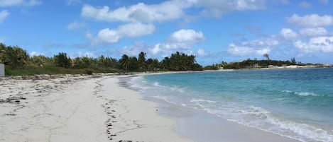 Beach View#1