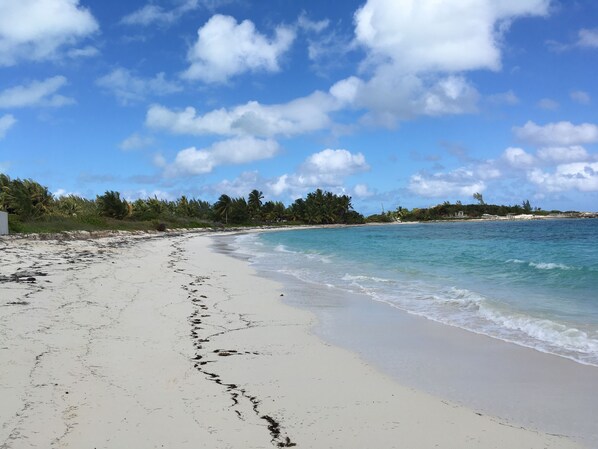 Beach View#1