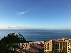 Vista desde la propiedad
