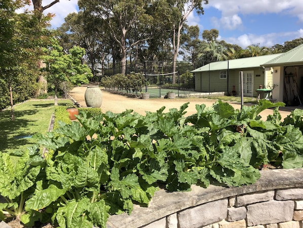 Vegetable garden, driveway looking at the Barn House