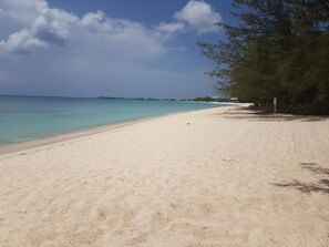 Our Beach Looking North