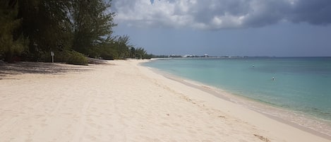 Our Beach Looking South