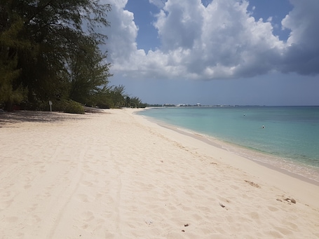 Our Beach Looking South