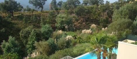 View from apartment on swimming pool and Esterel