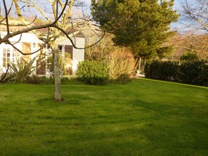 vue d'hiver jardin