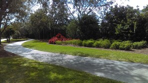 walkway and biking trail