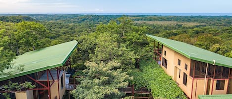 Lush jungle in the green season with beautiful views of the Pacific. 
