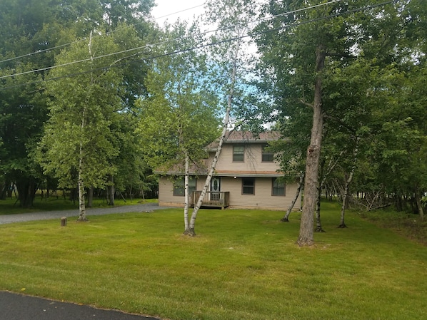 Summer day- House is surrounded by trees