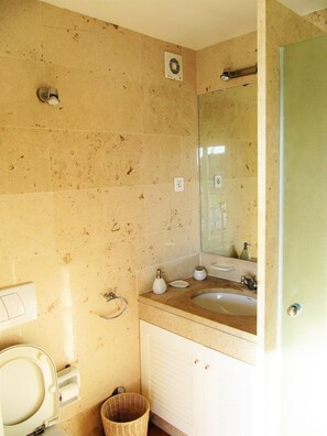 En-suite shower and bathroom for the master bedroom 