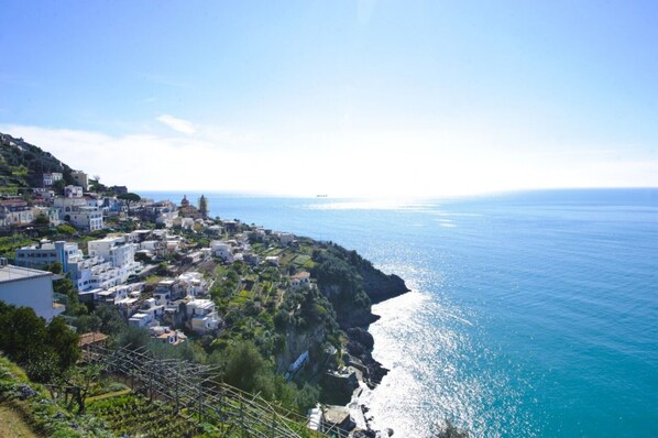 view from the terrace