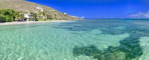 Turtle Beach Cottage. Swim &  snorkel right  off your doorstep. 