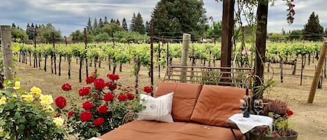 Relax on your double chaise next to the vines and in your private rose garden 