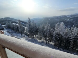 View from Holiday Home [winter]