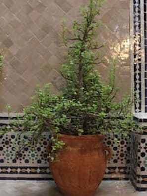 Interior detail