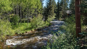 Big Thompson River just across from the Evergreen Cabin