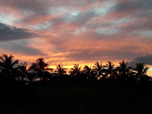 Oklassificerad bild, 2 av 25, knapp